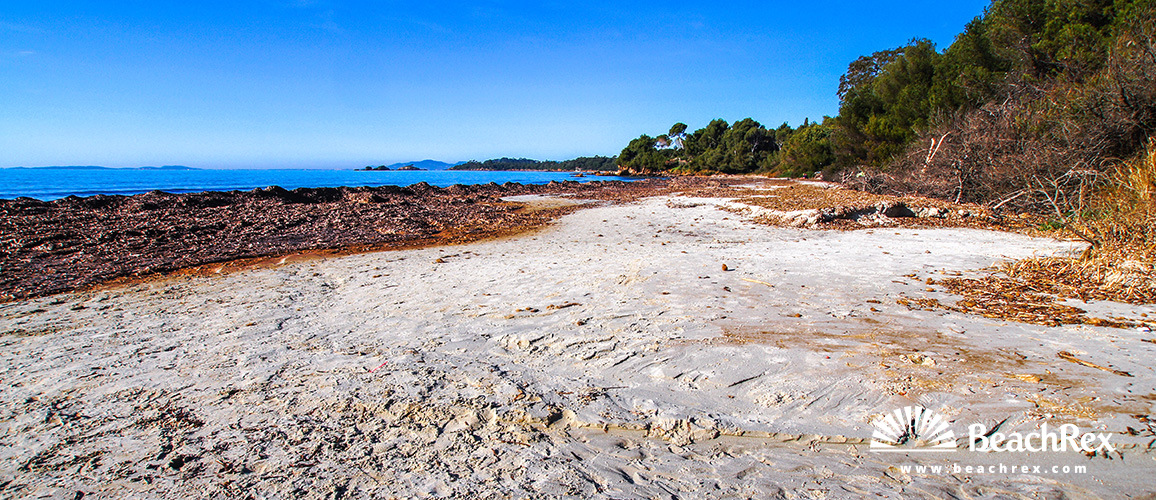 France - Var -  Bormes-les-Mimosas - Beach de la Mère Dieu