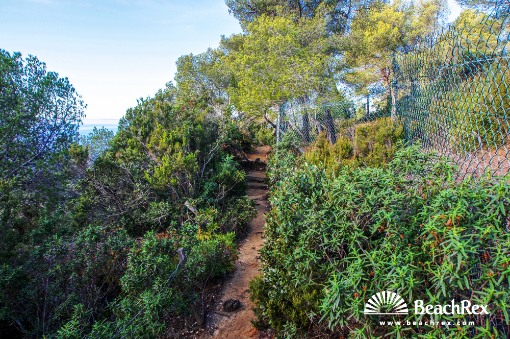 France - Var -  Bormes-les-Mimosas - Beach de la Mère Dieu