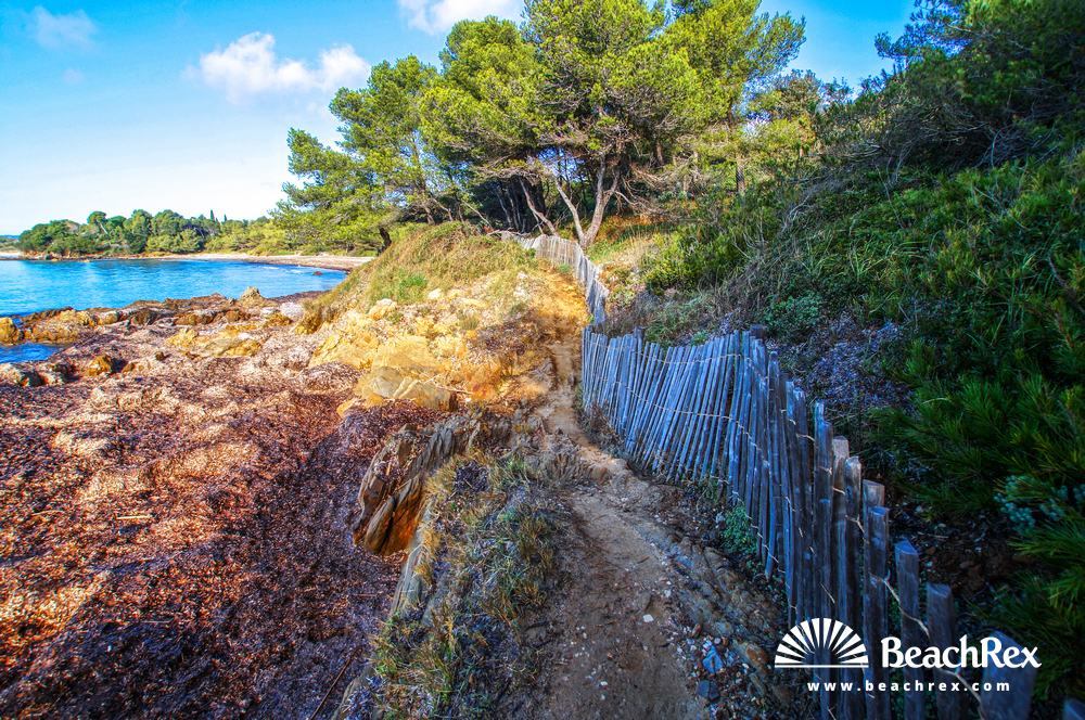 France - Var -  Bormes-les-Mimosas - Beach de la Mère Dieu