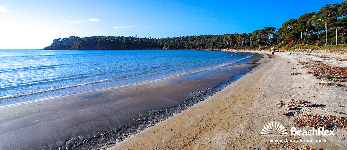 France - Var -  Bormes-les-Mimosas - Beach de l'Estagnol