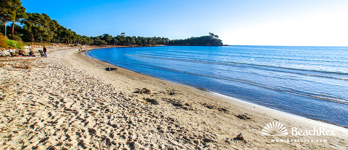 France - Var -  Bormes-les-Mimosas - Beach de l'Estagnol
