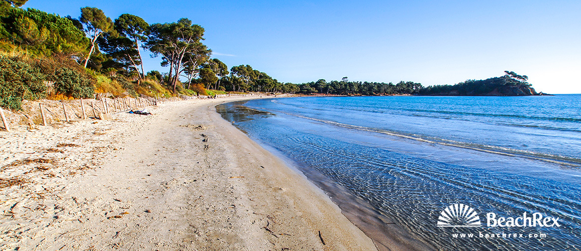 France - Var -  Bormes-les-Mimosas - Beach de l'Estagnol