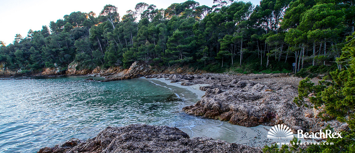 Frankreich - Var -  Bormes-les-Mimosas - Strand du Cap Léoube