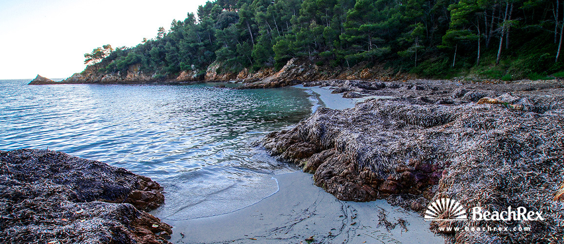 Frankreich - Var -  Bormes-les-Mimosas - Strand du Cap Léoube
