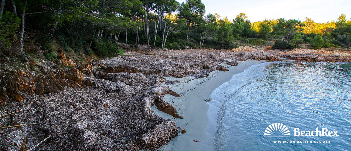 Frankreich - Var -  Bormes-les-Mimosas - Strand du Cap Léoube