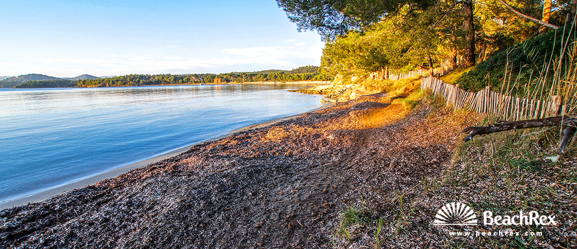 Frankreich - Var -  Bormes-les-Mimosas - Strand Le Patelin