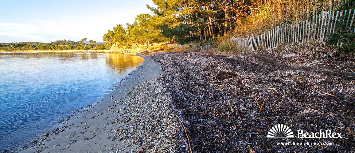 Frankreich - Var -  Bormes-les-Mimosas - Strand Le Patelin