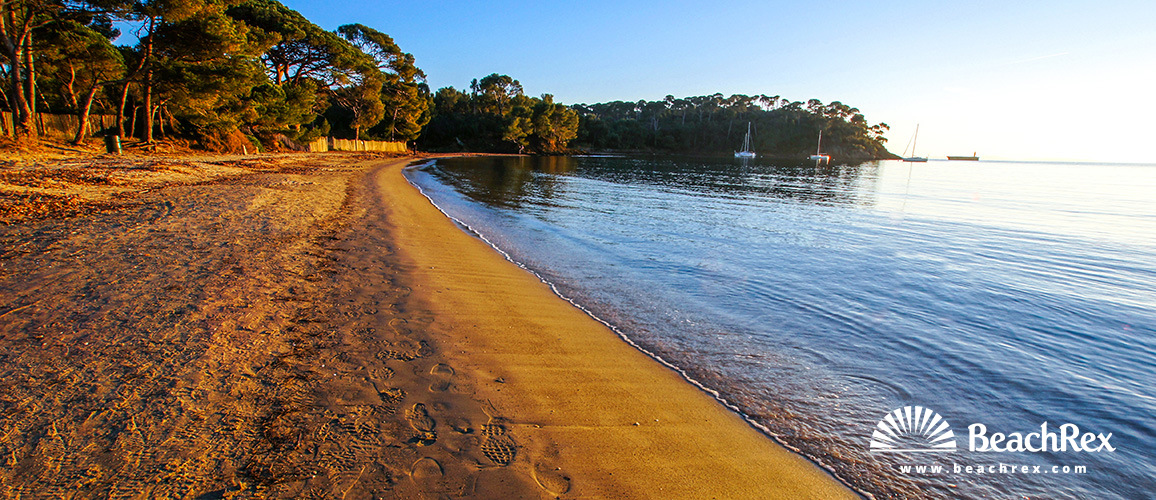 France - Var -  Bormes-les-Mimosas - Beach de Léoube