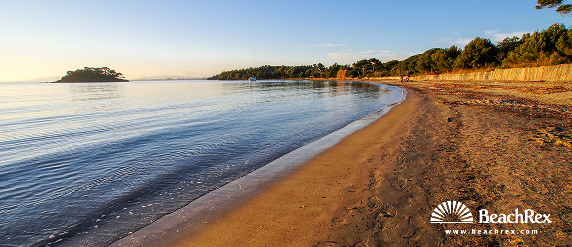 France - Var -  Bormes-les-Mimosas - Beach de Léoube