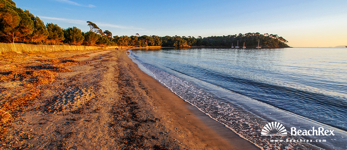 France - Var -  Bormes-les-Mimosas - Beach de Léoube