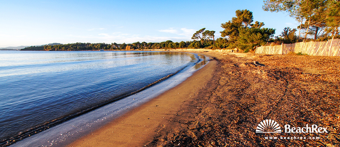 France - Var -  Bormes-les-Mimosas - Beach de Léoube