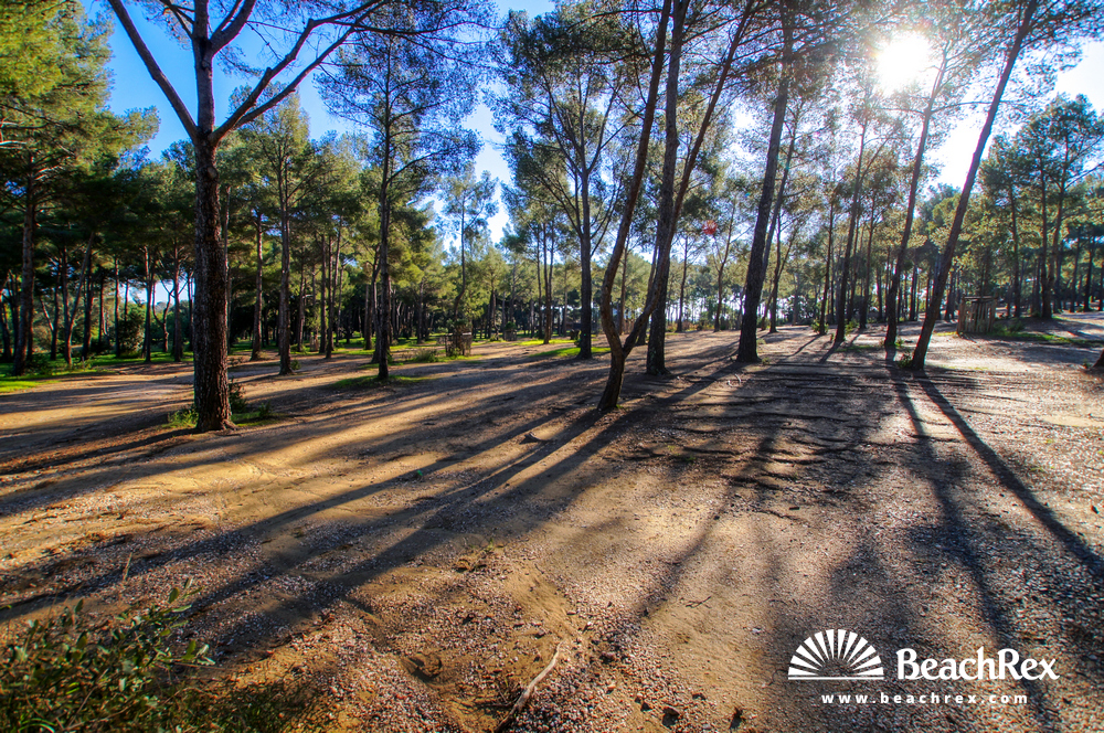 France - Var -  Bormes-les-Mimosas - Beach de Léoube