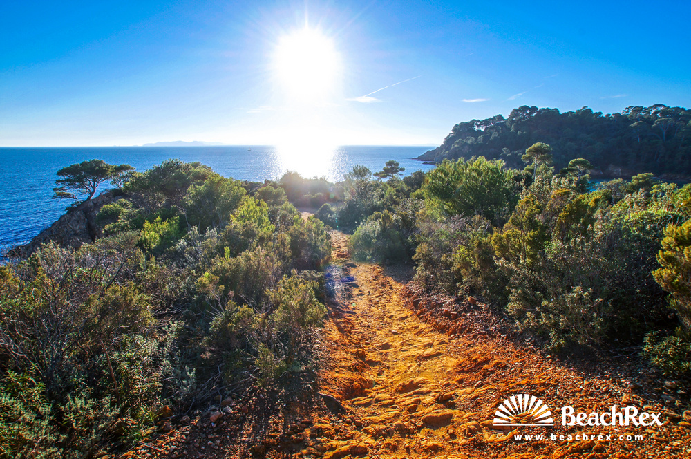 France - Var -  Bormes-les-Mimosas - Beach de Léoube