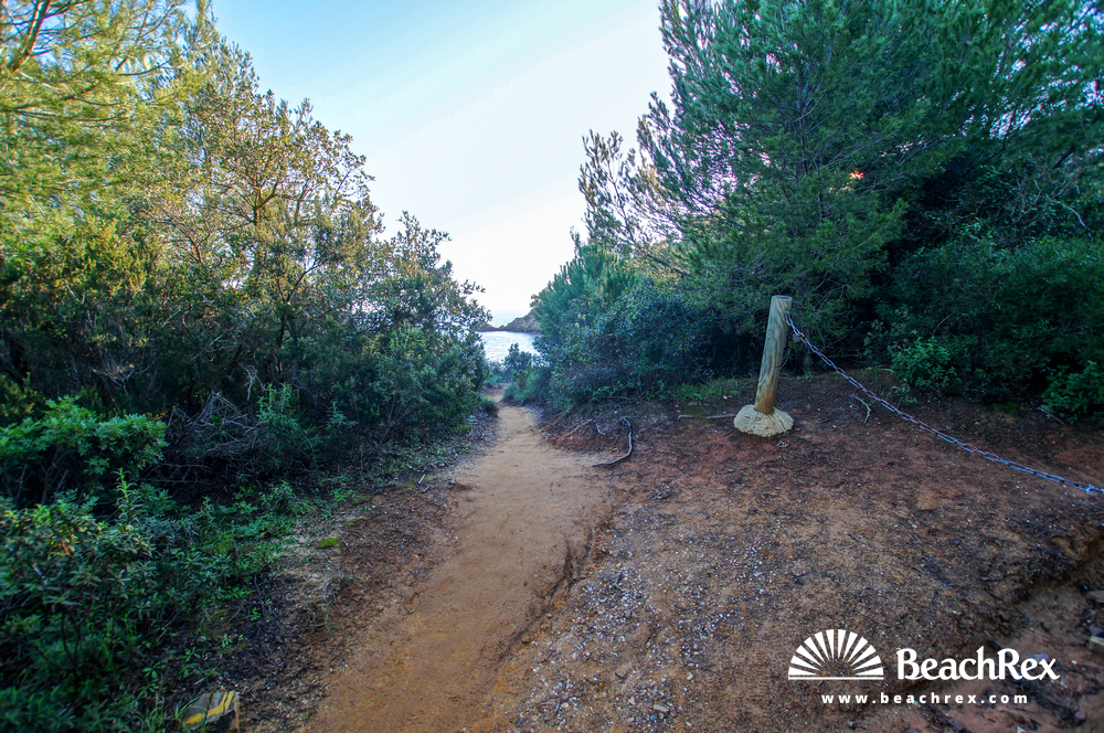 France - Var -  Bormes-les-Mimosas - Beach de Léoube
