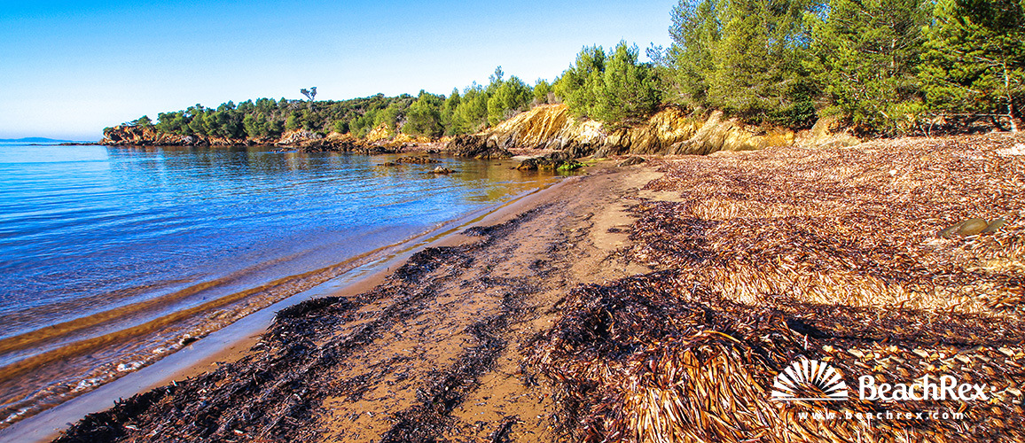 France - Var -  Bormes-les-Mimosas - Beach Chapelle Saint-Georges