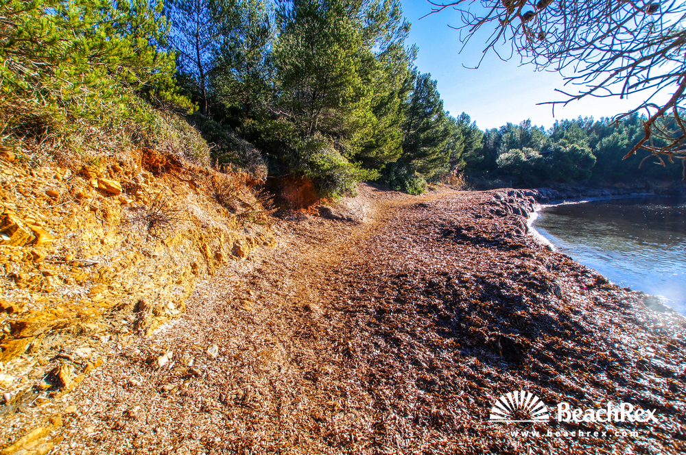 France - Var -  Bormes-les-Mimosas - Beach Chapelle Saint-Georges