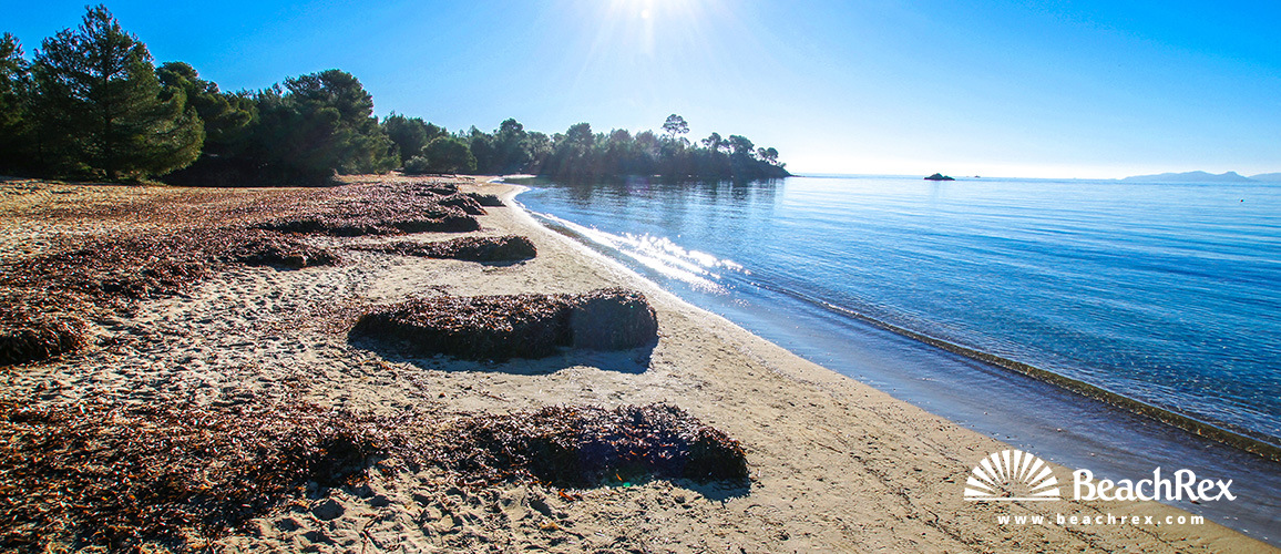 Frankreich - Var -  Bormes-les-Mimosas - Strand du Pellegrin