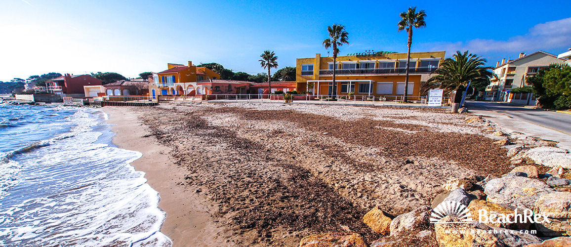 france - Var -  Hyères - Plage La Potinière