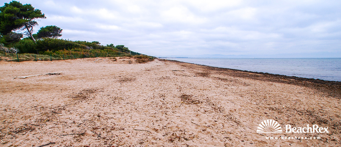 france - Var -  Hyères - Plage de la Badine