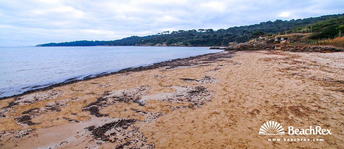 france - Var -  Hyères - Plage de la Badine