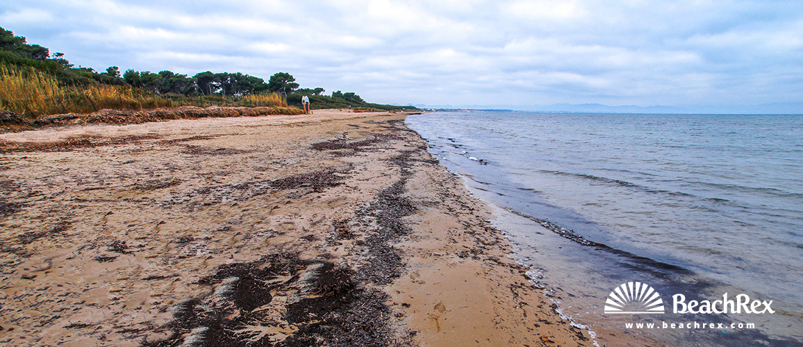 france - Var -  Hyères - Plage de la Badine