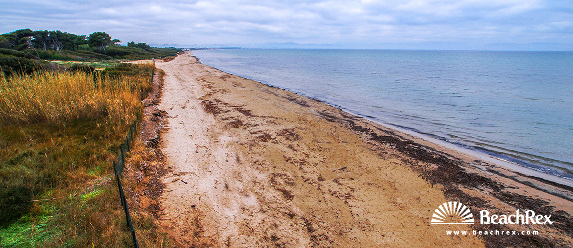 france - Var -  Hyères - Plage de la Badine