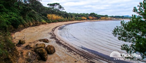 france - Var -  Hyères - Plage de la Badine