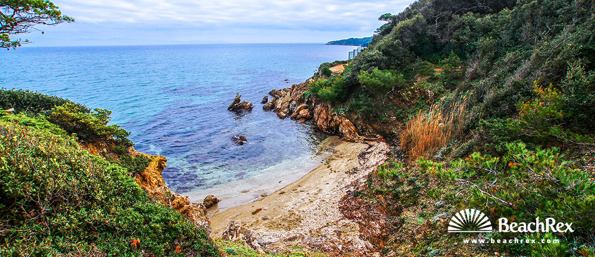 france - Var -  Hyères - Plage le Vieux Chêne