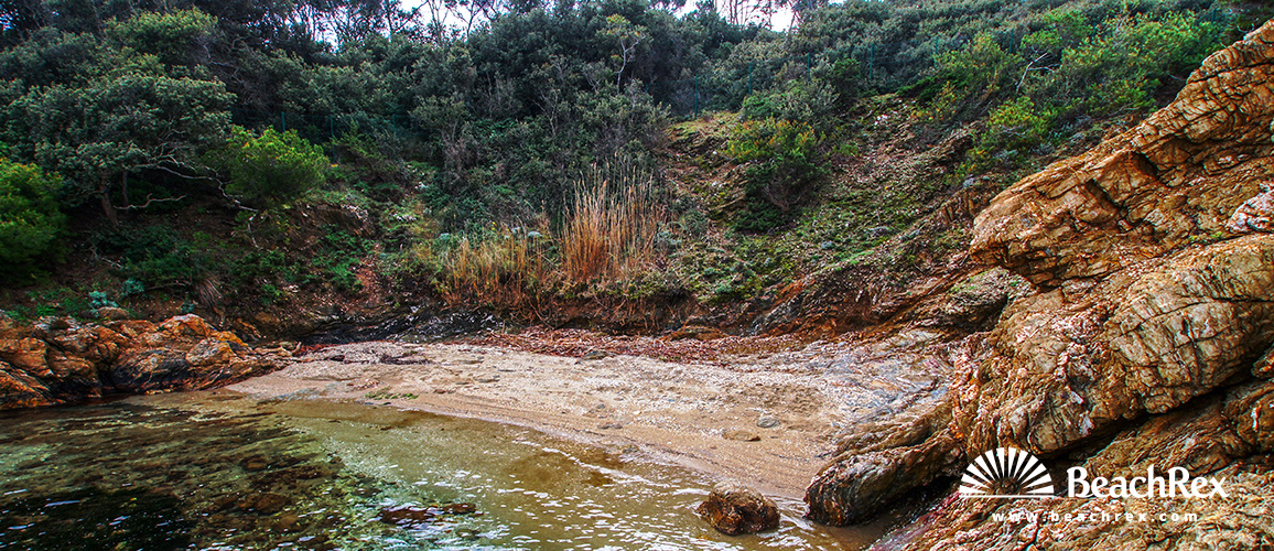 france - Var -  Hyères - Plage le Vieux Chêne