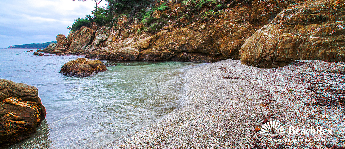 france - Var -  Hyères - Plage des Mimosas