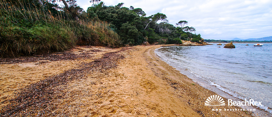 france - Var -  Hyères - Plage de l'Estanci