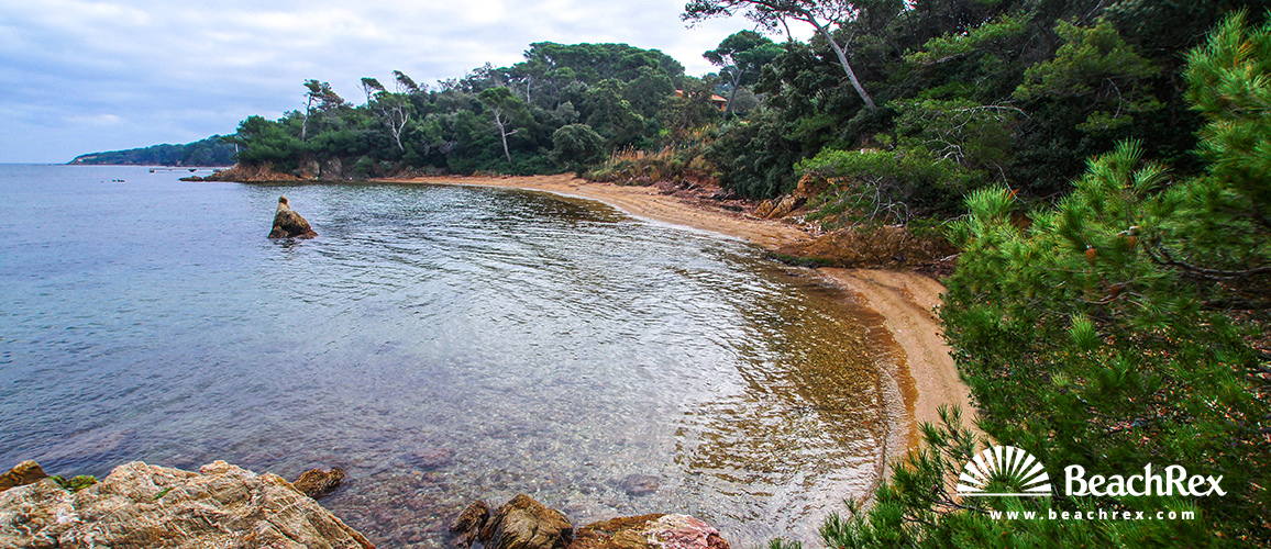 france - Var -  Hyères - Plage de l'Estanci