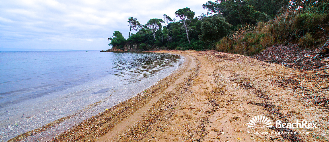 france - Var -  Hyères - Plage de l'Estanci