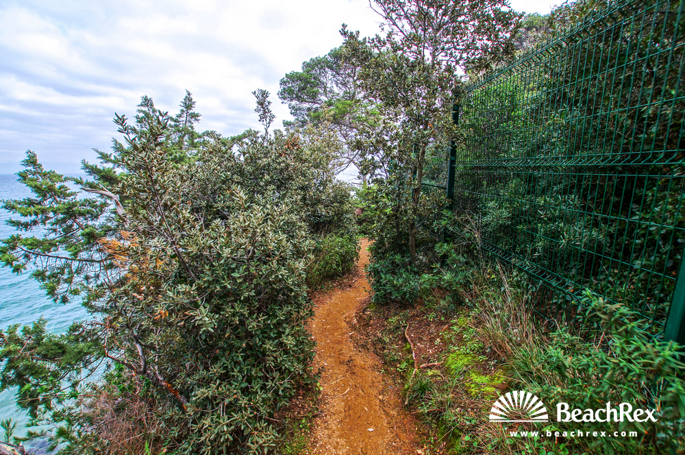 france - Var -  Hyères - Plage de l'Estanci