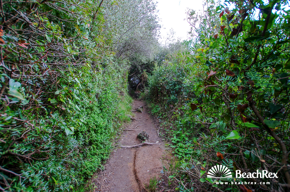 france - Var -  Hyères - Plage Pointe de la Badine