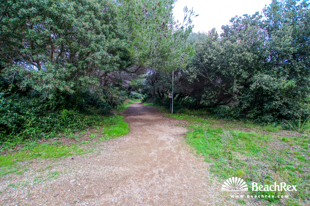 france - Var -  Hyères - Plage des Arbanais