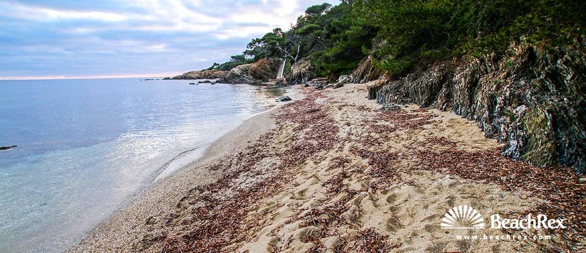 france - Var -  Hyères - Plage de la Batterie