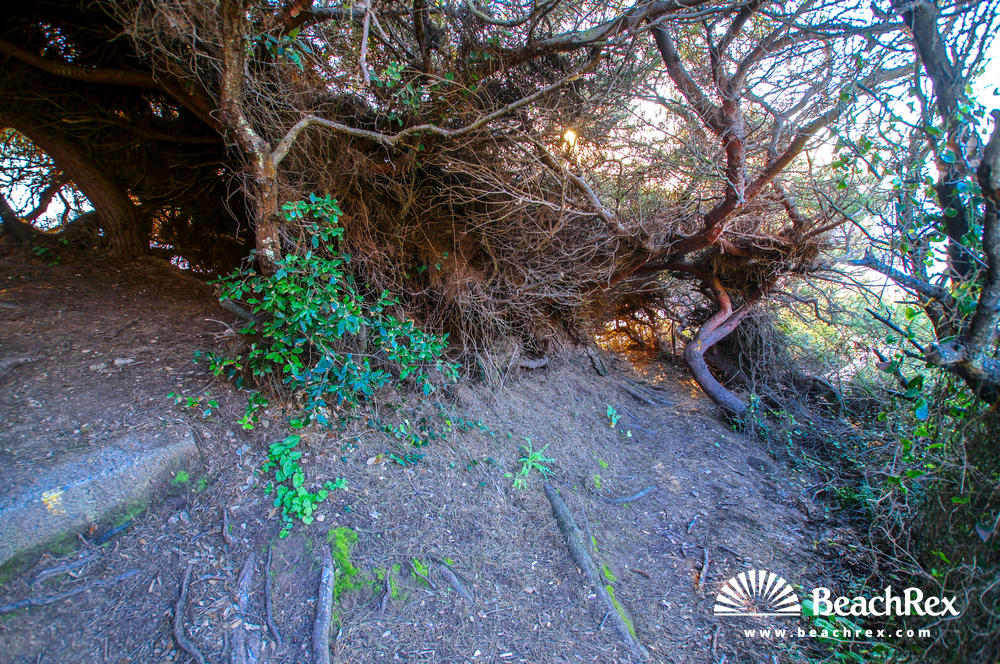 france - Var -  Hyères - Plage Petite Corniche