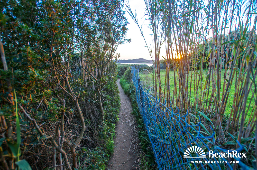 france - Var -  Hyères - Plage Petite Corniche