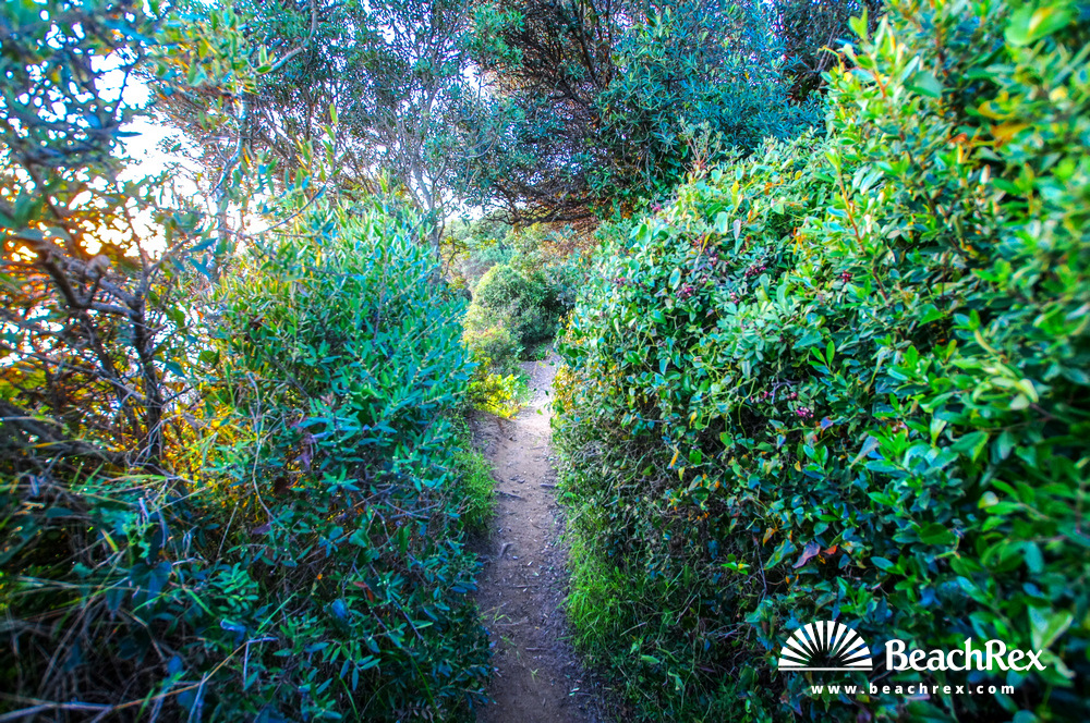 france - Var -  Hyères - Plage Petite Corniche