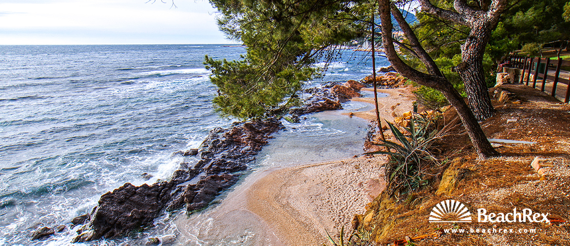 france - Var -  Carqueiranne - Plage des Pins Penchés