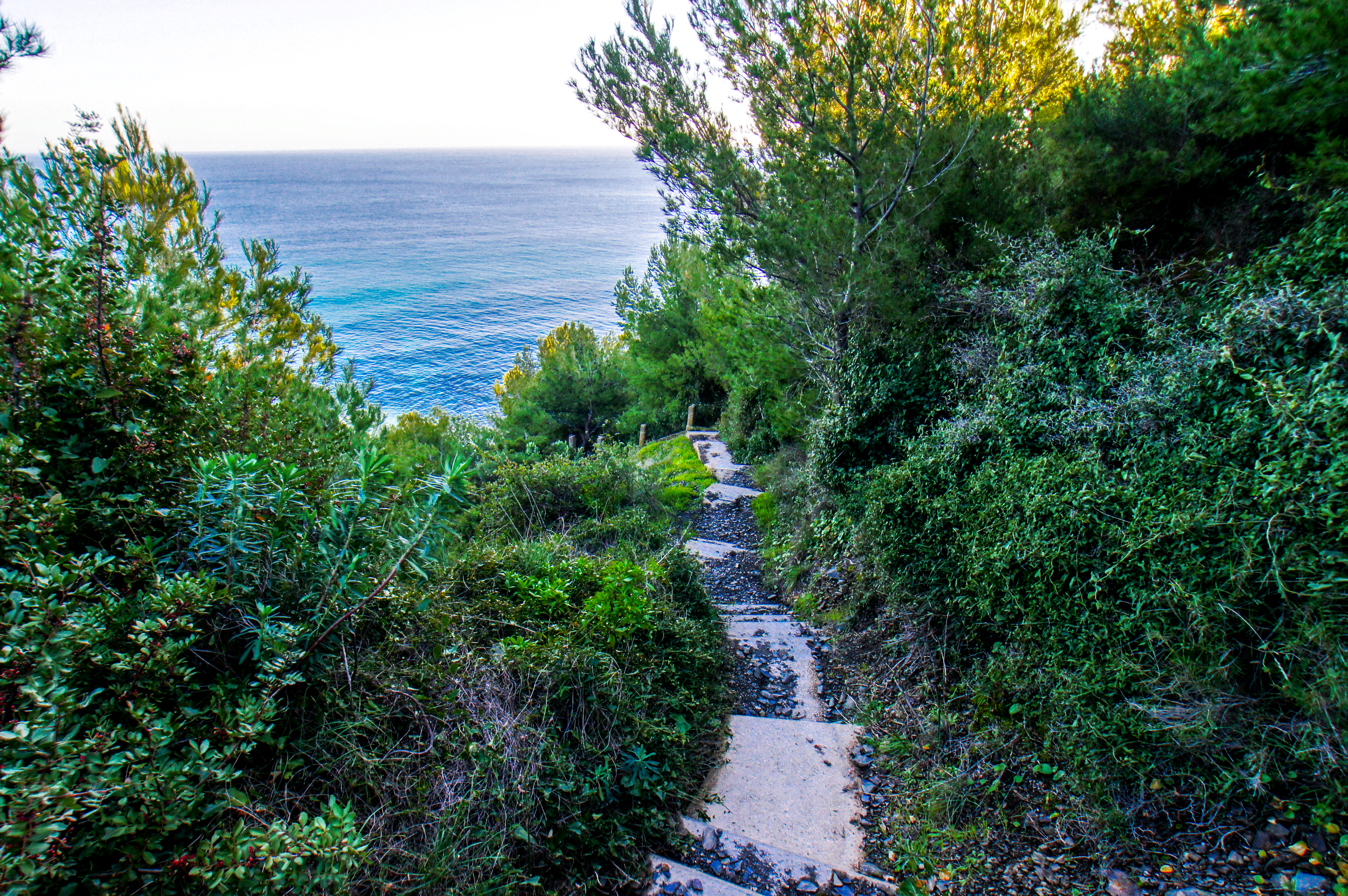 France - Var -  La Seyne-sur-Mer - Beach du Boeuf