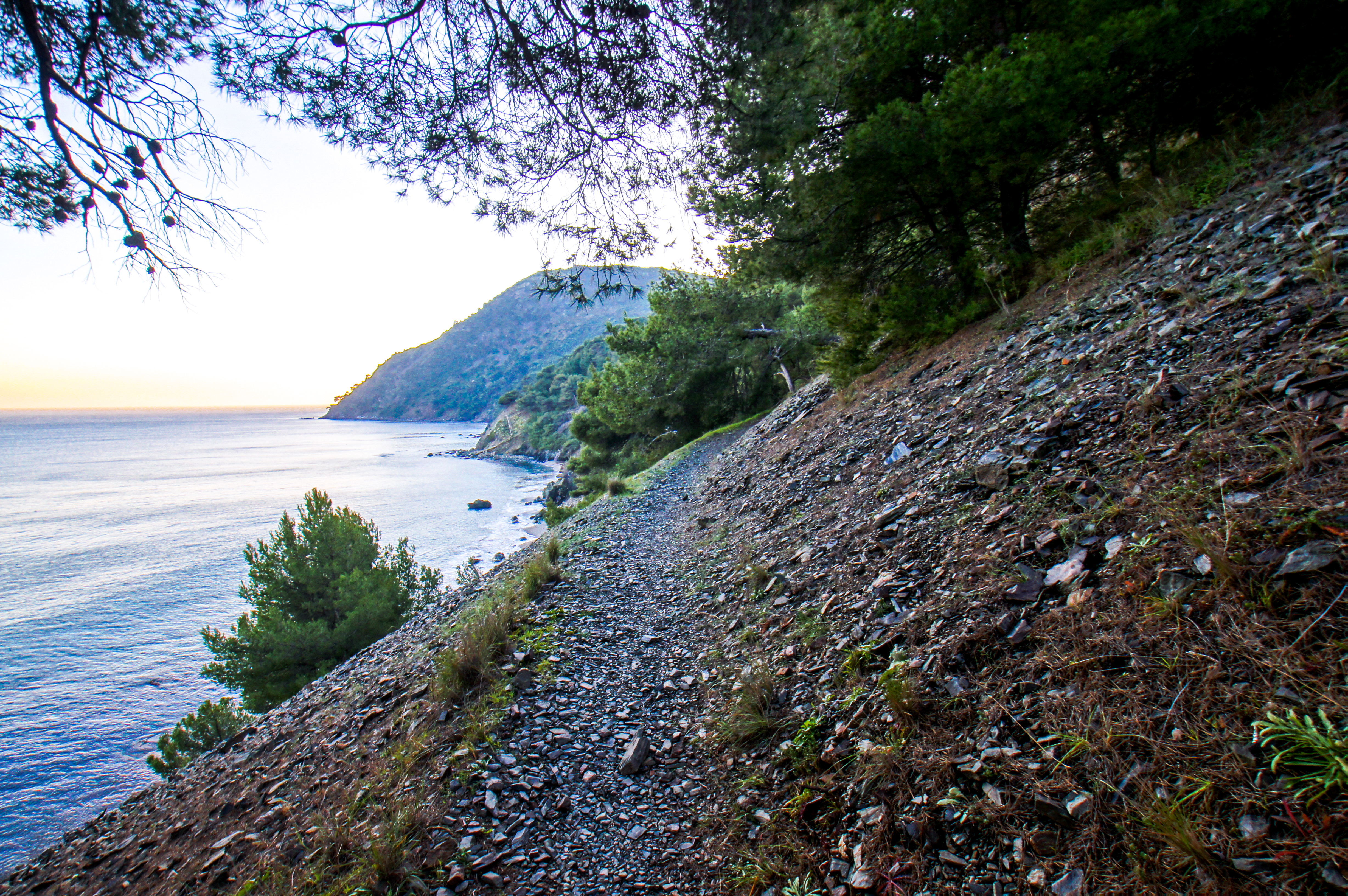france - Var -  La Seyne-sur-Mer - Plage Naturiste du Saint-Selon