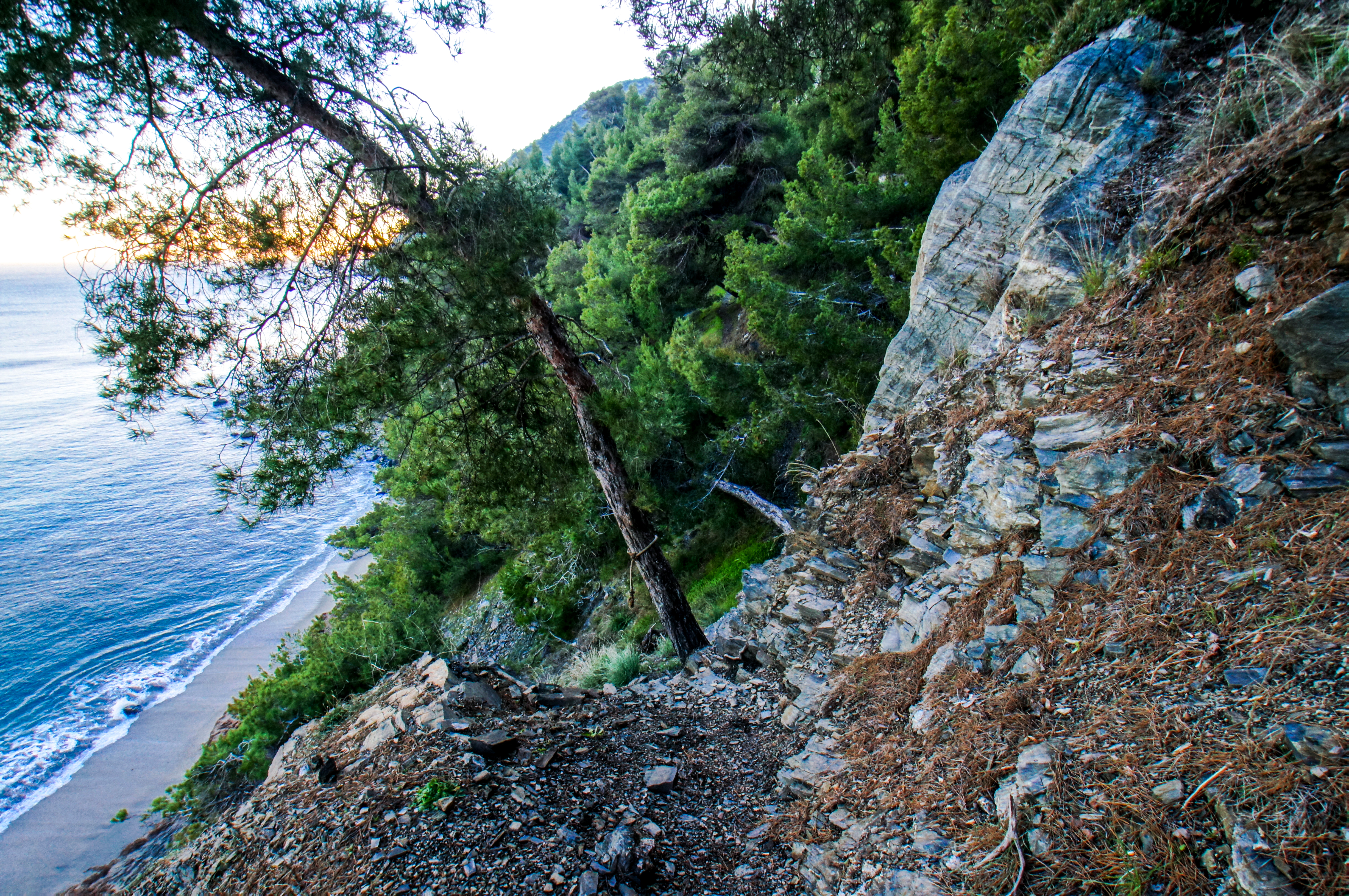 france - Var -  La Seyne-sur-Mer - Plage Naturiste du Saint-Selon