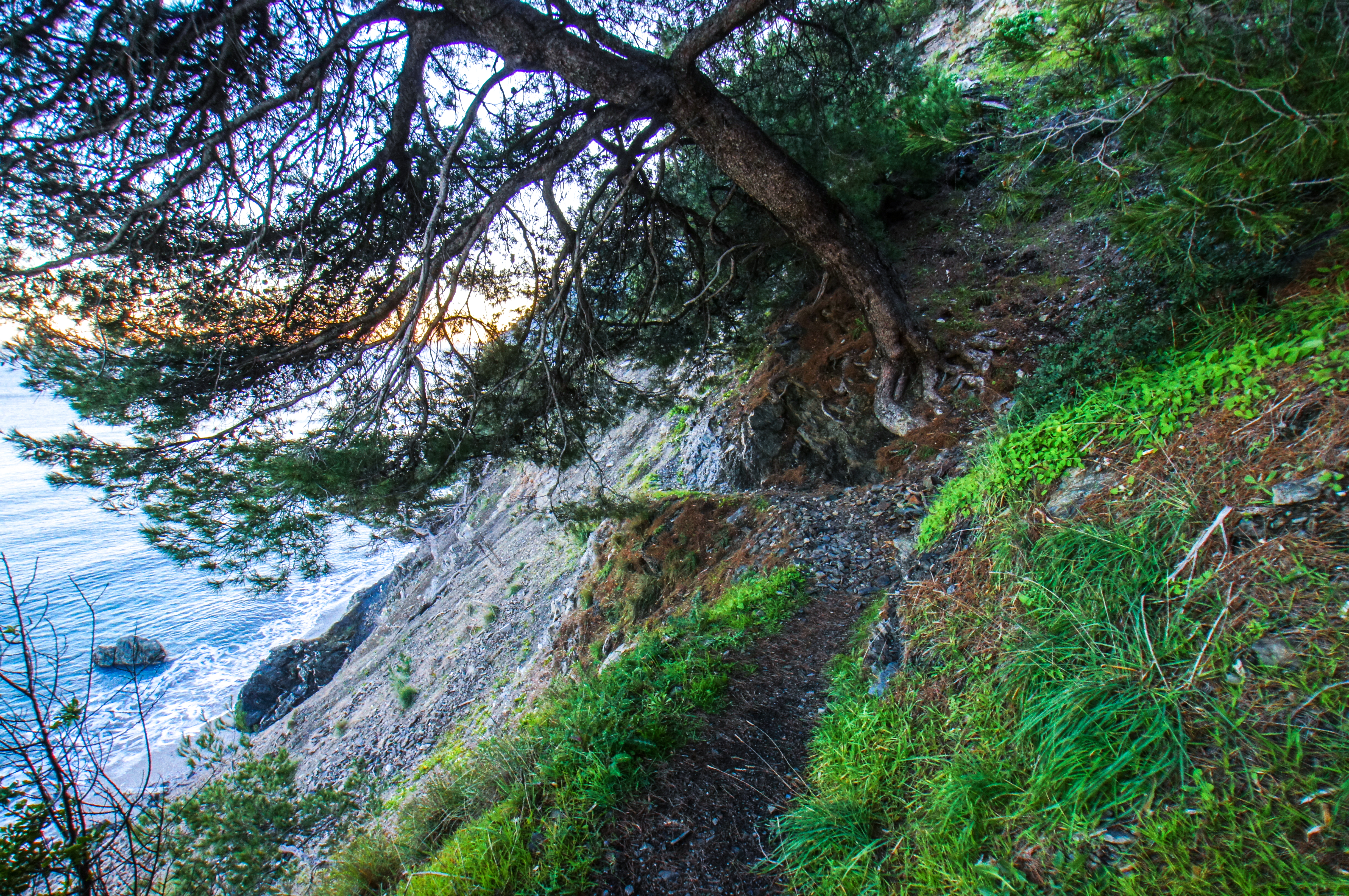 france - Var -  La Seyne-sur-Mer - Plage Naturiste du Saint-Selon