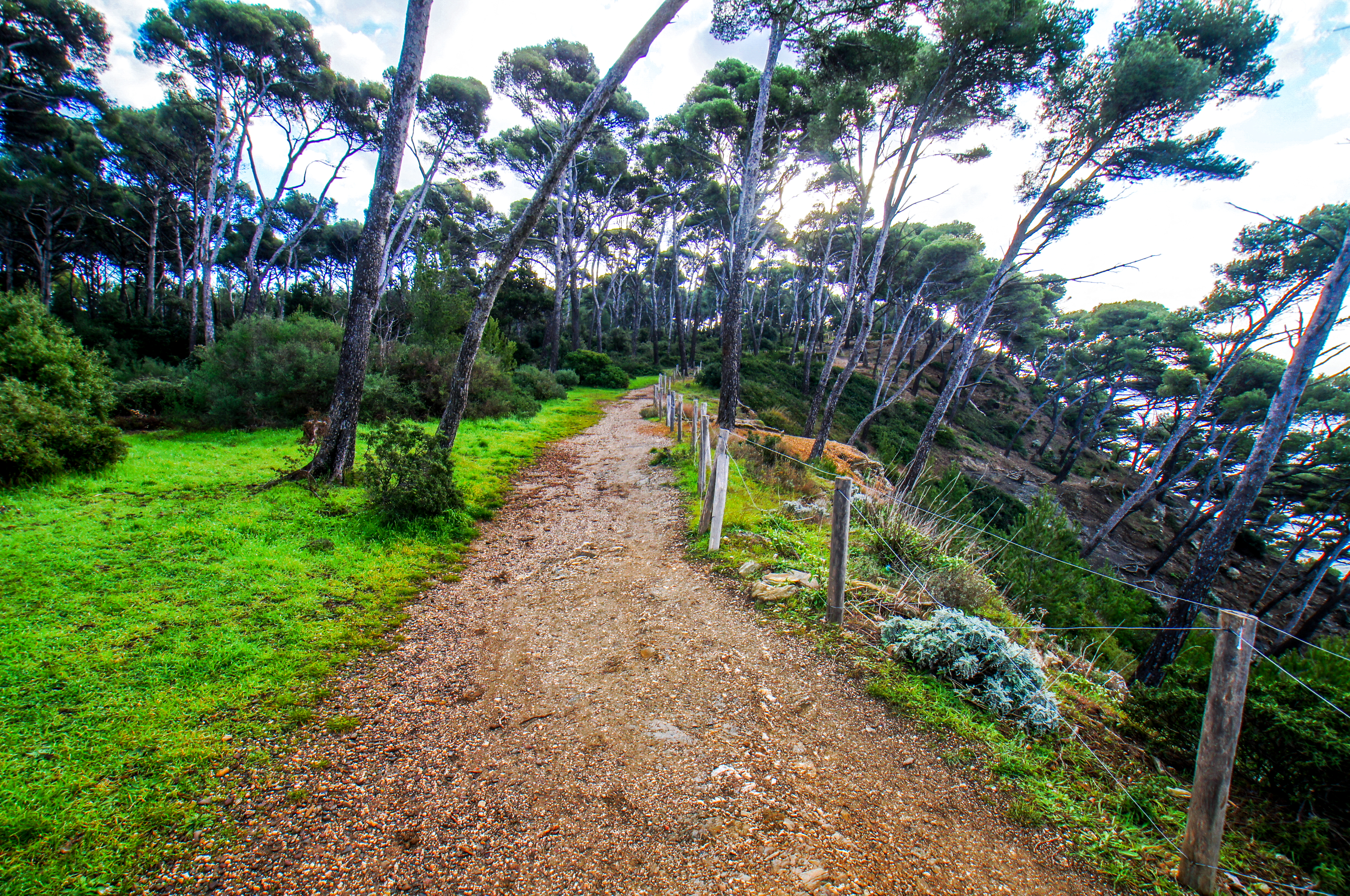 Francia - Var -  Six-Fours-les-Plages - Spiaggia du Mont-Salva
