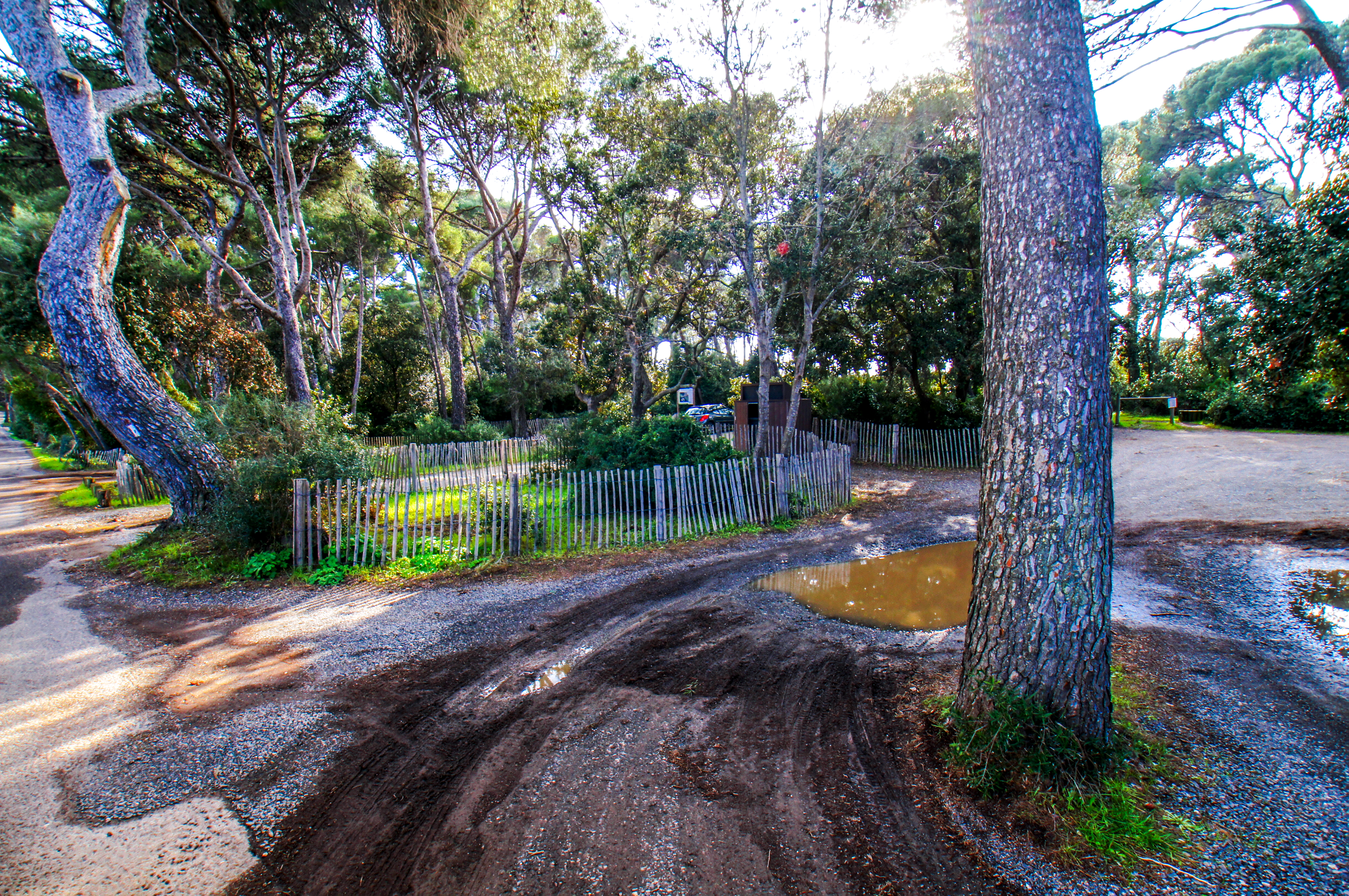 Francia - Var -  Six-Fours-les-Plages - Spiaggia du Mont-Salva