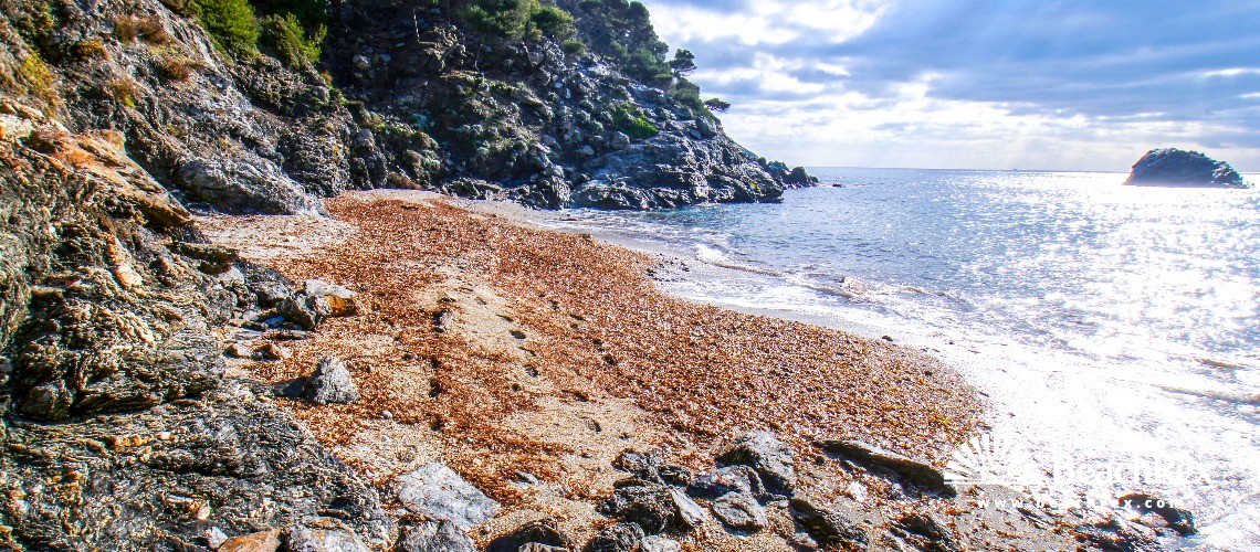 Francia - Var -  Six-Fours-les-Plages - Spiaggia du Mont-Salva
