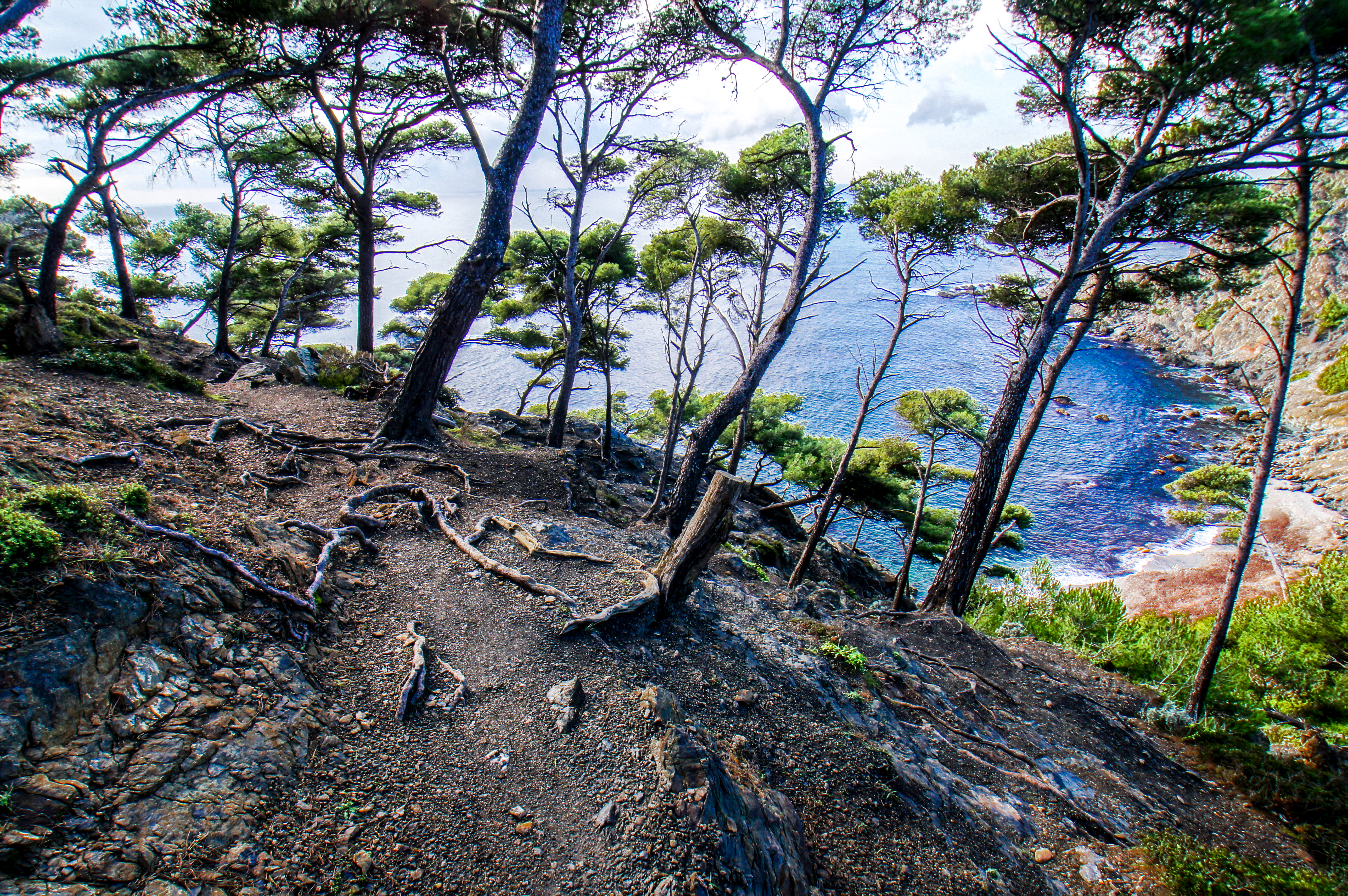 Francia - Var -  Six-Fours-les-Plages - Spiaggia du Mont-Salva