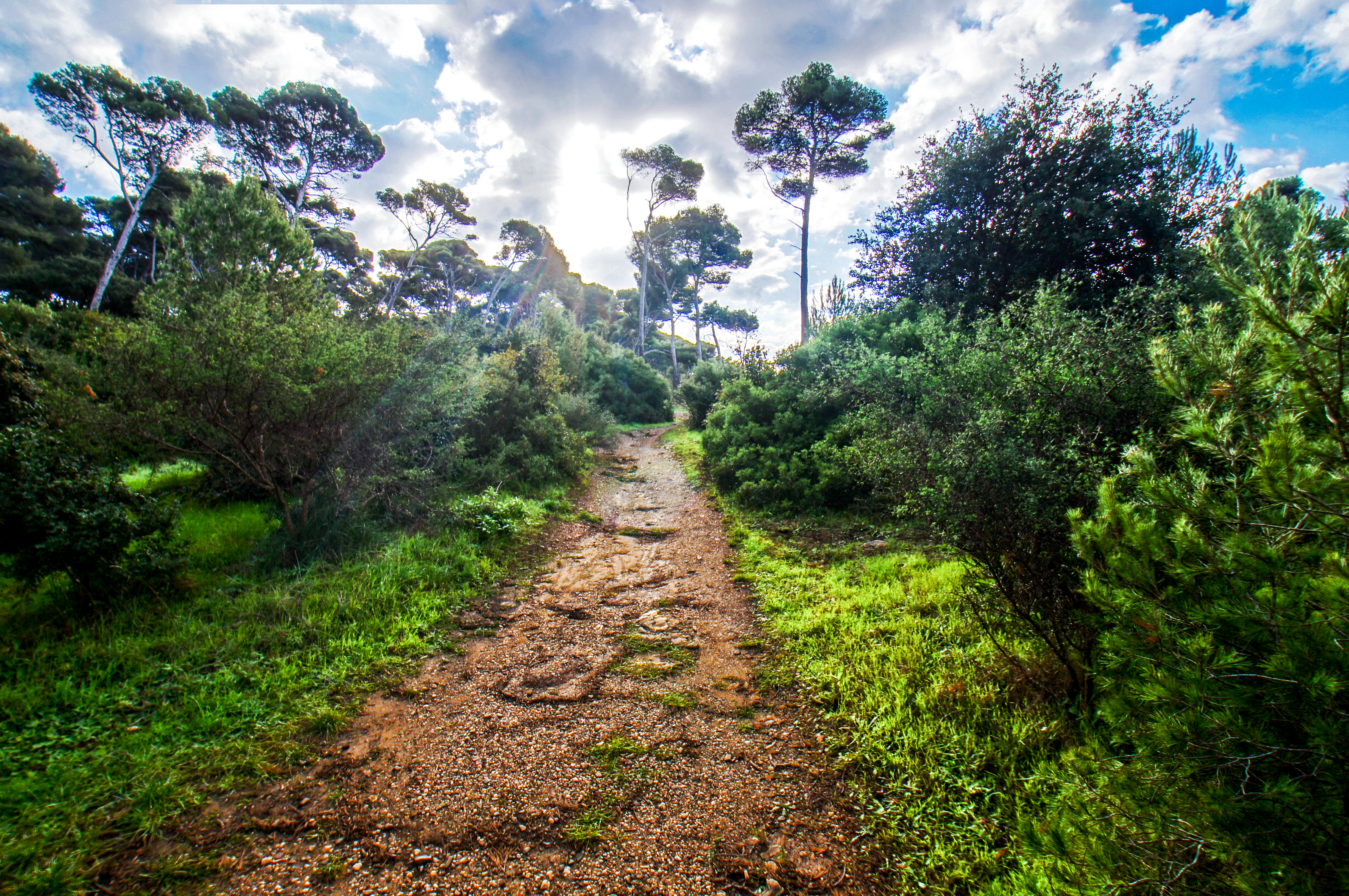Francia - Var -  Six-Fours-les-Plages - Spiaggia du Mont-Salva